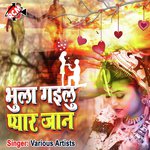 Bhula Gailu payar Jan - Rohit Raj Song Download