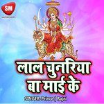 Bit Gail Sawan Bhado - Brij Bihari Gupta Song Download