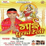 Mai Pukareli - Bittu Raj Song Download