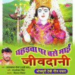 Pahadva Par Base Maai Jivdani - Anita Sharma Song Download