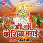 Jore Jore Kosiya Bharai - Neelkamal Singh Song Download