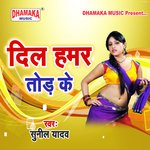 DIl Hamar Tod Ke Album Download