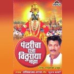 Raj Naik Songs MP3 Download