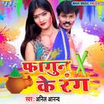 Fagun Ke Rang Album Download