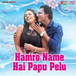 Hamro Name Hai Papu Pelu Album Download