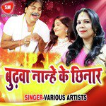 Budhwa Nanhe Ke Chhinar - Bijali Rani Song Download