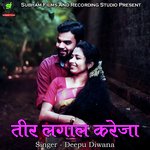 Teer Lagal Kareja Album Download