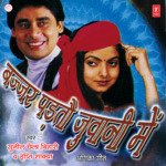 Bajjar Padhto Juwani Mein Album Download