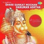 Murli Manohar Swarup Songs MP3 Download