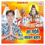 Aa Gaile Sawan Bahar Album Download