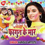 Fagun Ke Maar - Tinku Tufan Song Download