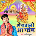 Sherawali Aa Gail Album Download