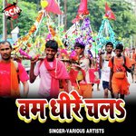 Bam Dhire Chala (Kanwar Bhajan) - Ritu Raj Song Download