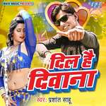 Dil Hai Diwana Album Download