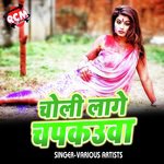 Choli Lage Chamkauaa Album Download