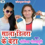 Sala Dilra Ke Beta - Joginder Gorakhpuri Song Download
