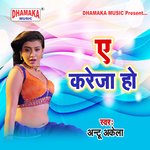 A Kareja Ho Album Download