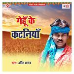 Gehu Ke Kataniya Album Download