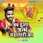 Jab Hua janam Mahatari Ka Album Download