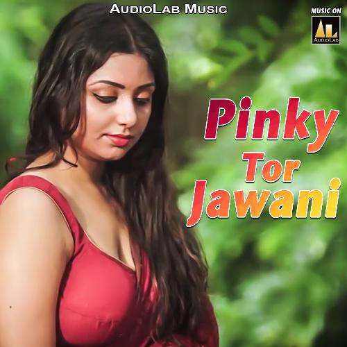 Pinky Tor Jawani Ganesh Singh MP3 Download
