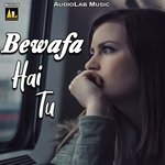 BEWAFA HAI TU Album Download