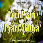 Teri Pyari Pyari Akhiya - Chanda Raj Song Download