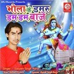 Baba Ke Damru Dam Dam Baje - Rajesh Singh Rana Song Download
