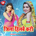 Jila Hilbe Kari Album Download