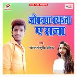 Jobanwa Bathata Ae Raja Album Download