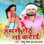 Aapu Raja
