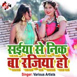 Saiya Se Nik Ba Rajiya Ho - Rajan Kushwaha Song Download