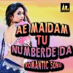 AE MAIDAM TU NUMBER DE DA ROMANTIC SONG Album Download