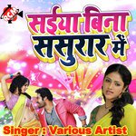 Saiya Bina Sasurar Me - Bullet Raja Song Download