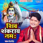 Shiv Shankaray Namha Album Download
