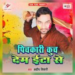 Pichkari Kuch Dem Eta Se Album Download