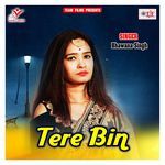 Tere Bin Album Download