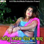 Ansu Usake Pochh Na Paye Album Download