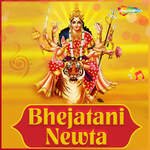 Bhejatani Newta Album Download