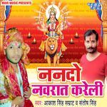 Nando Navrat Kareli Album Download