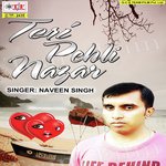 Teri Pehle Najar Album Download