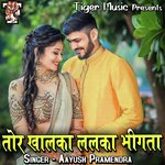 Tor Khalka Lalka Bigata - Ayush Pramendra Song Download
