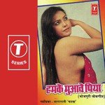 Dabbu Shukla Songs MP3 Download