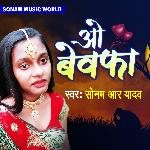 O Bewafa Album Download