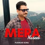 Mera Naseeb Album Download