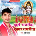 Jhule Mayariya Devghar Nagariya - Sweta Sargam Song Download