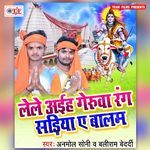 Lele Aiha Gerua Rang Sariya Ae Balam - Anmol Soni Song Download