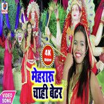 Ankit R.Pandey