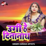 Ugi He Dinanath - Baijnath Thakur Song Download