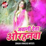 Jawani Deta Orhanawa - Puja Singh Song Download