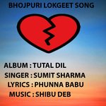 Tutal Dil Album Download